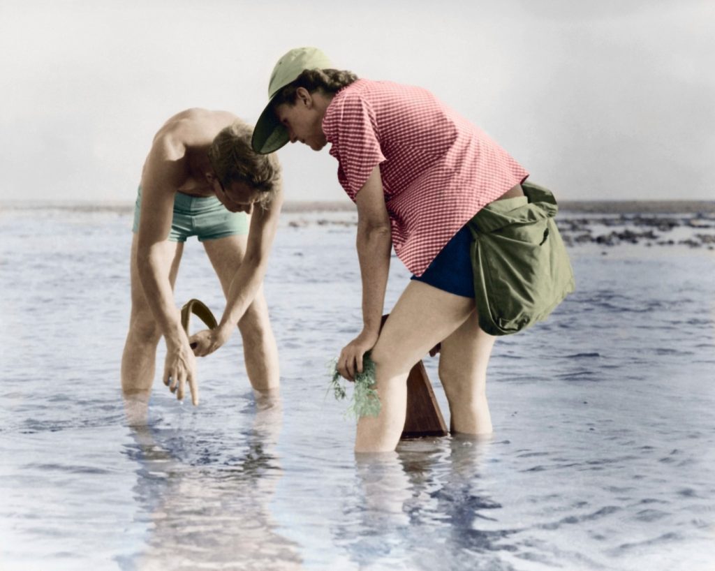 Rachel Carson – De zee